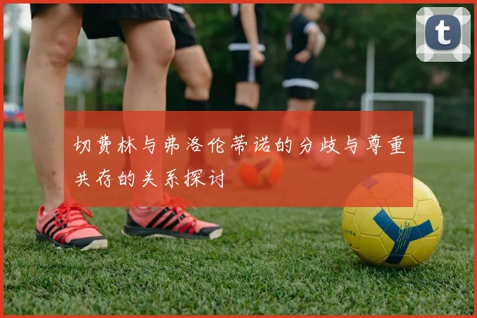 切费林与弗洛伦蒂诺的分歧与尊重共存的关系探讨