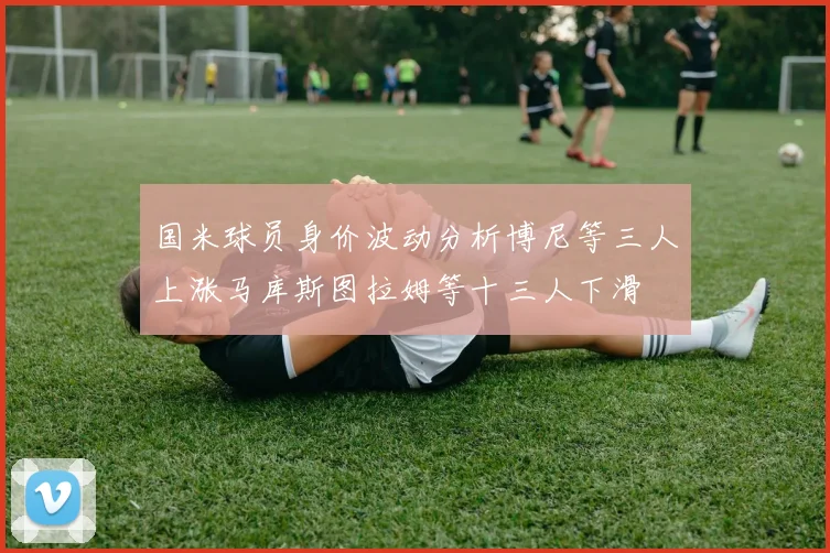 国米球员身价波动分析博尼等三人上涨马库斯图拉姆等十三人下滑