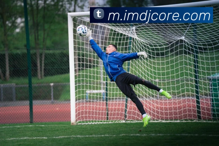 IM电竞发展历程